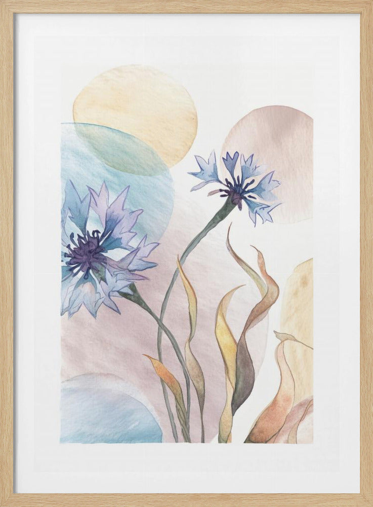 Aquarell Kornblumen | Poster