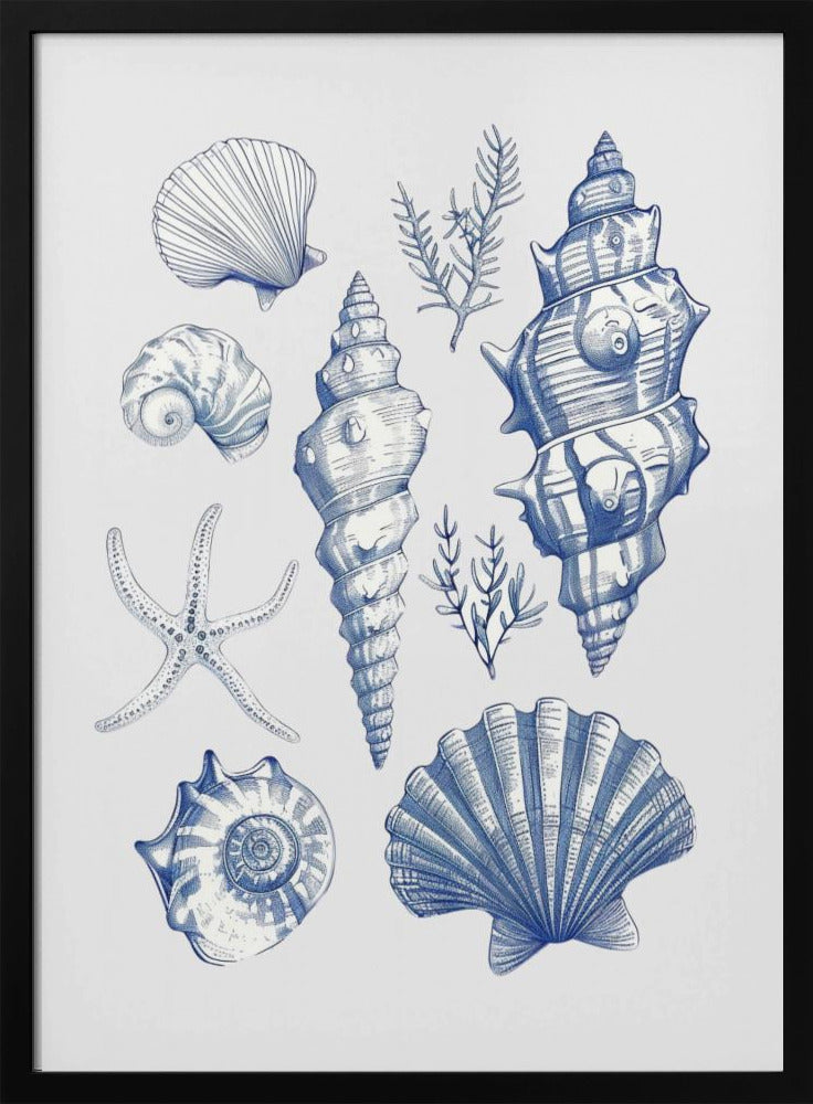 Shell Collage | Poster