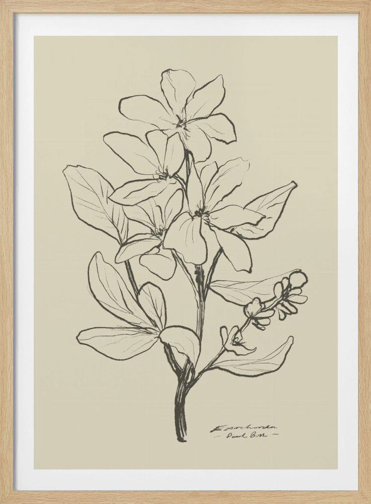 Floral 1 | Poster