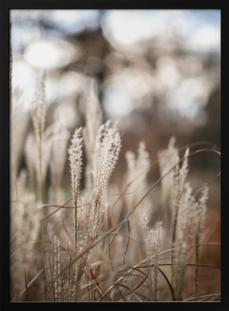 Grass 19 | Poster