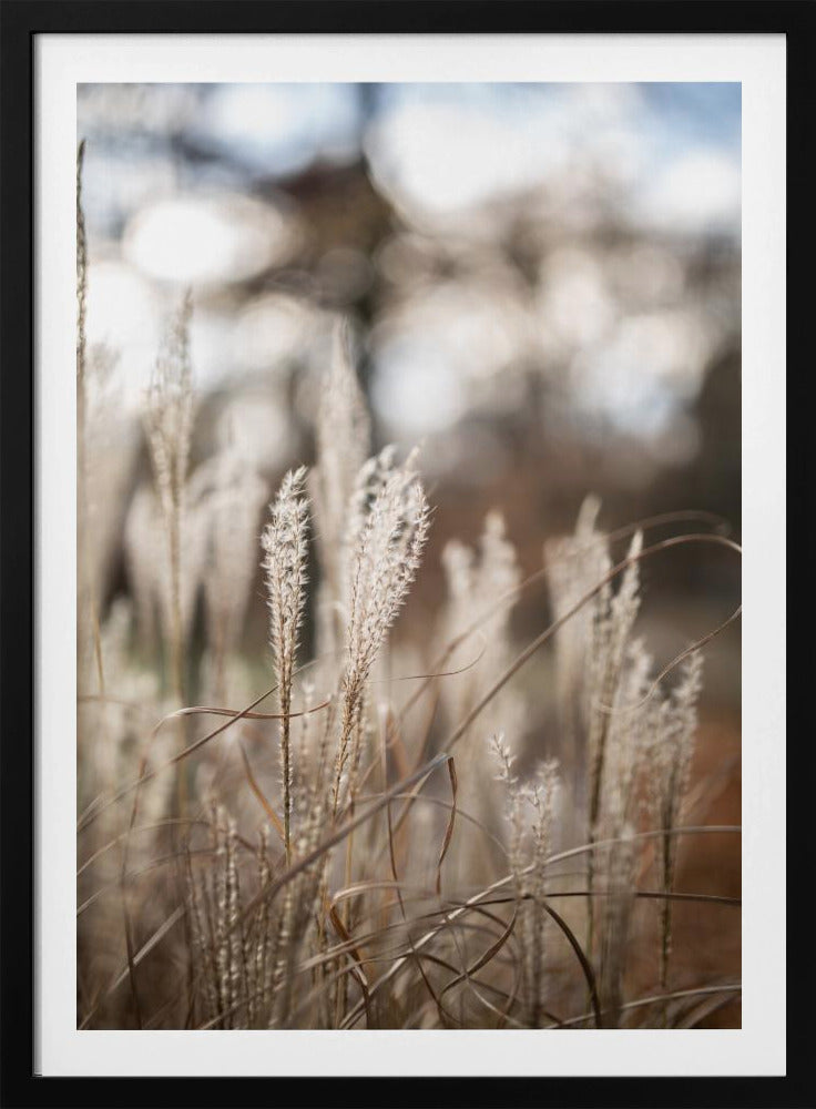 Grass 19 | Poster