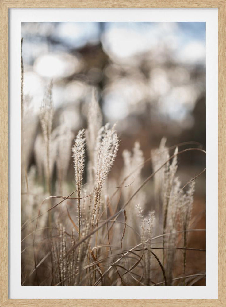 Grass 19 | Poster
