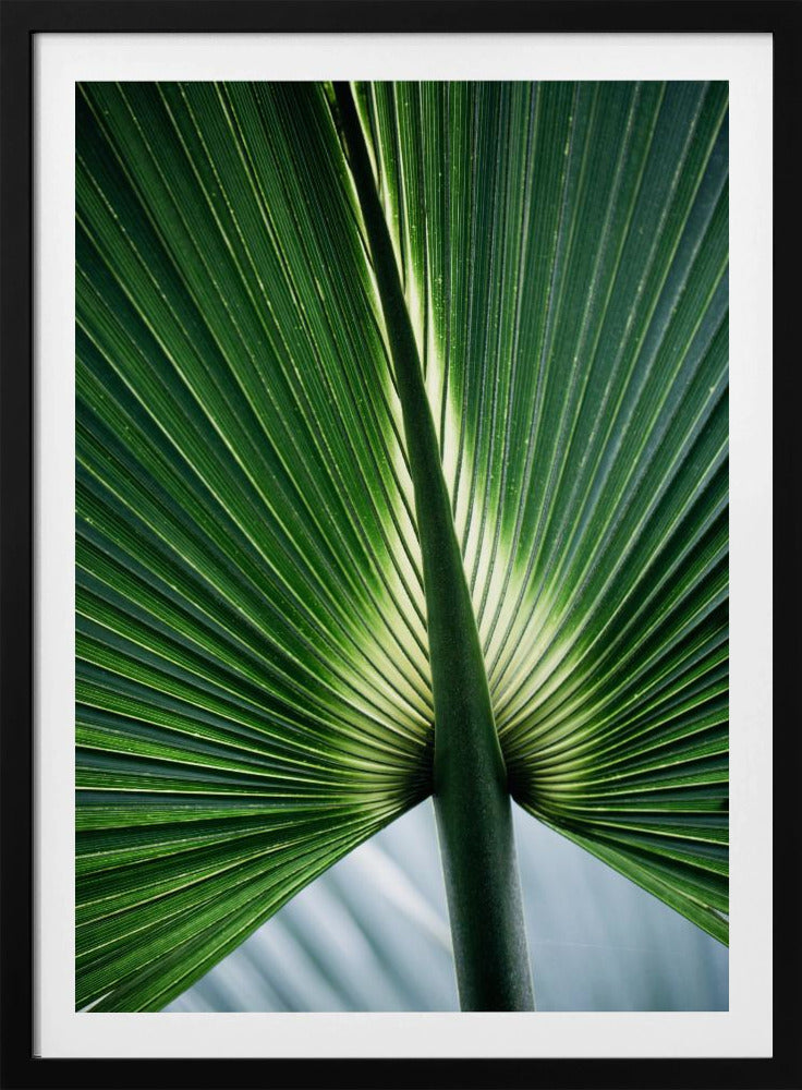 Leaves 12 | Poster