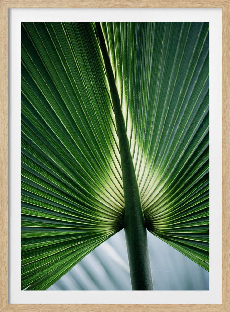 Leaves 12 | Poster