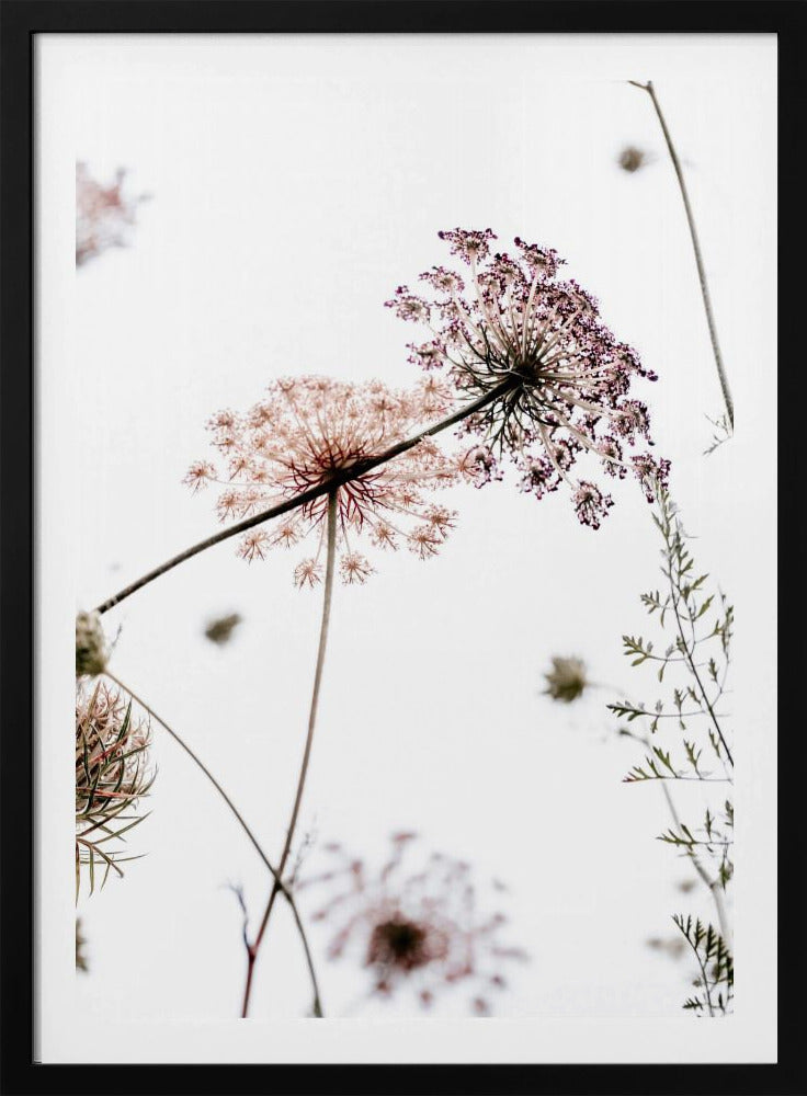 Sommerblumen | Poster