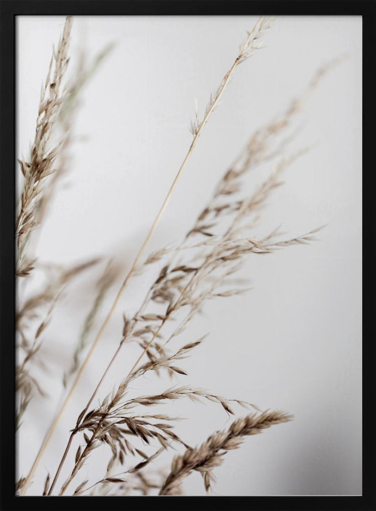 Sommergras 2 | Poster