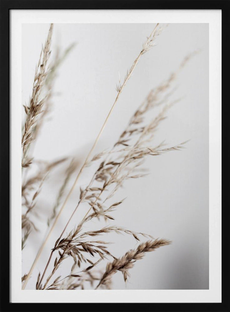 Sommergras 2 | Poster