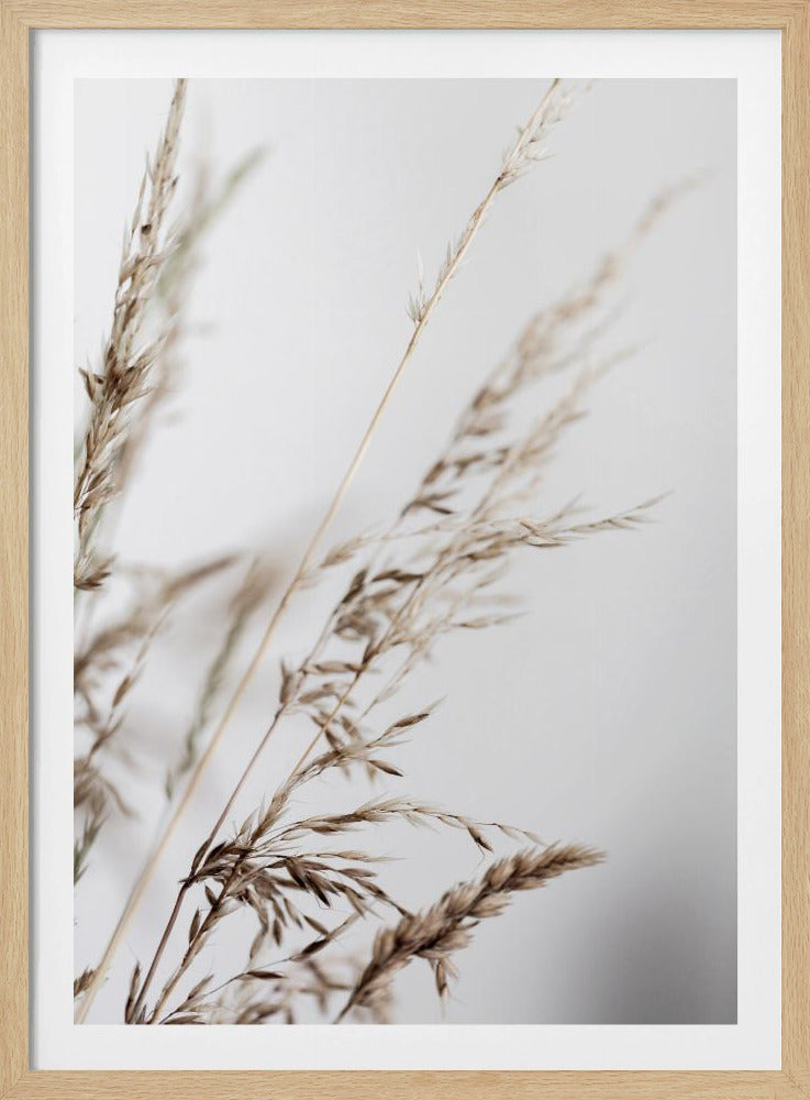 Sommergras 2 | Poster