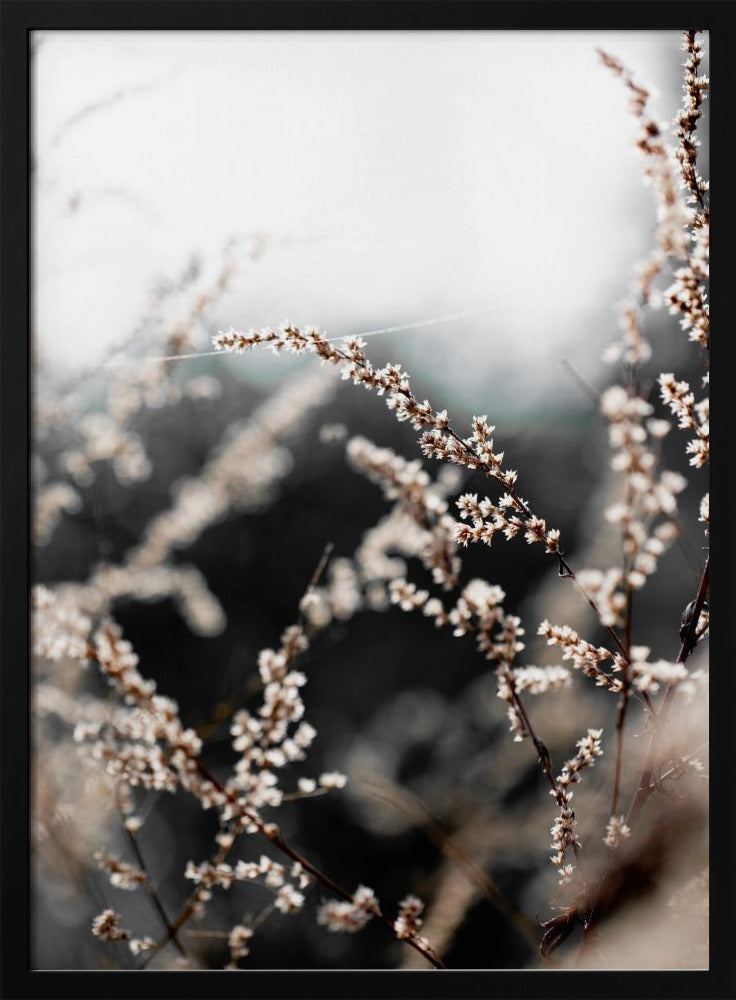 Unknown 10 | Poster