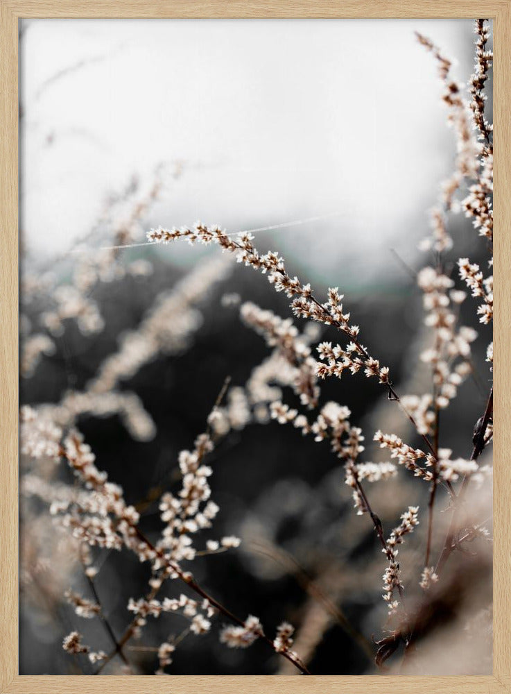 Unknown 10 | Poster
