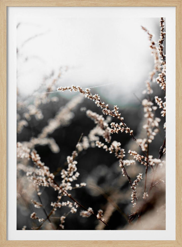 Unknown 10 | Poster