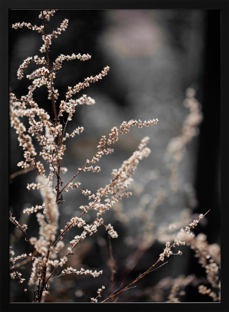 Unknown 9 | Poster