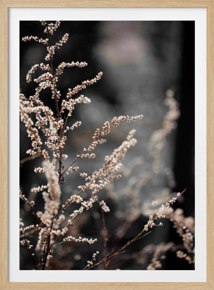 Unknown 9 | Poster