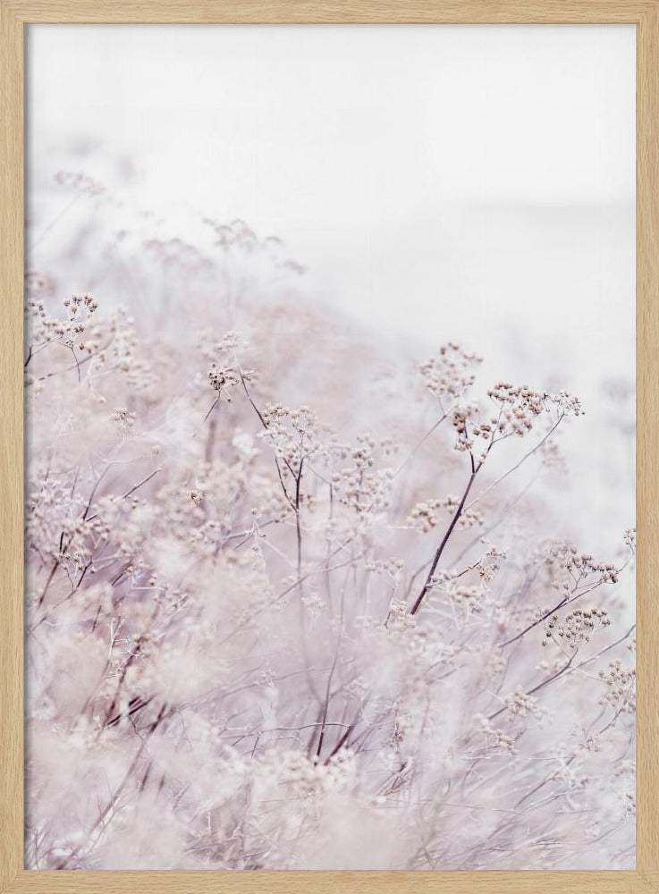Unknown 13 | Poster
