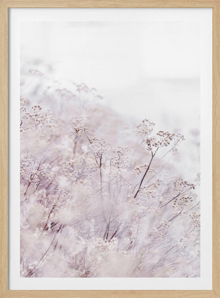 Unknown 13 | Poster