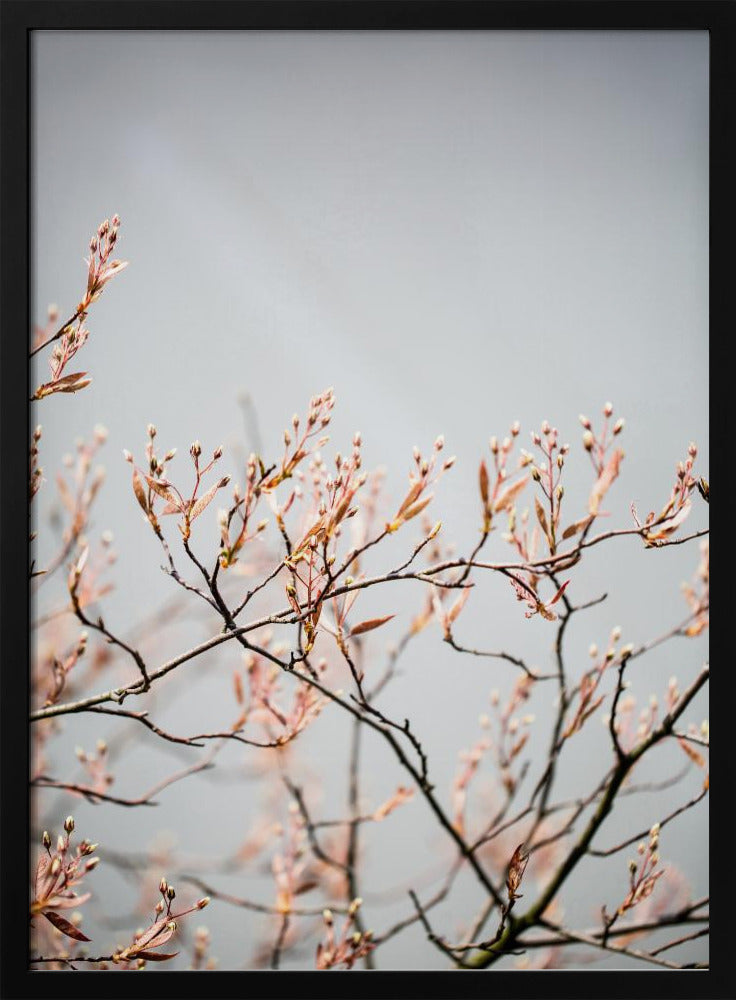 Unknown 11 | Poster