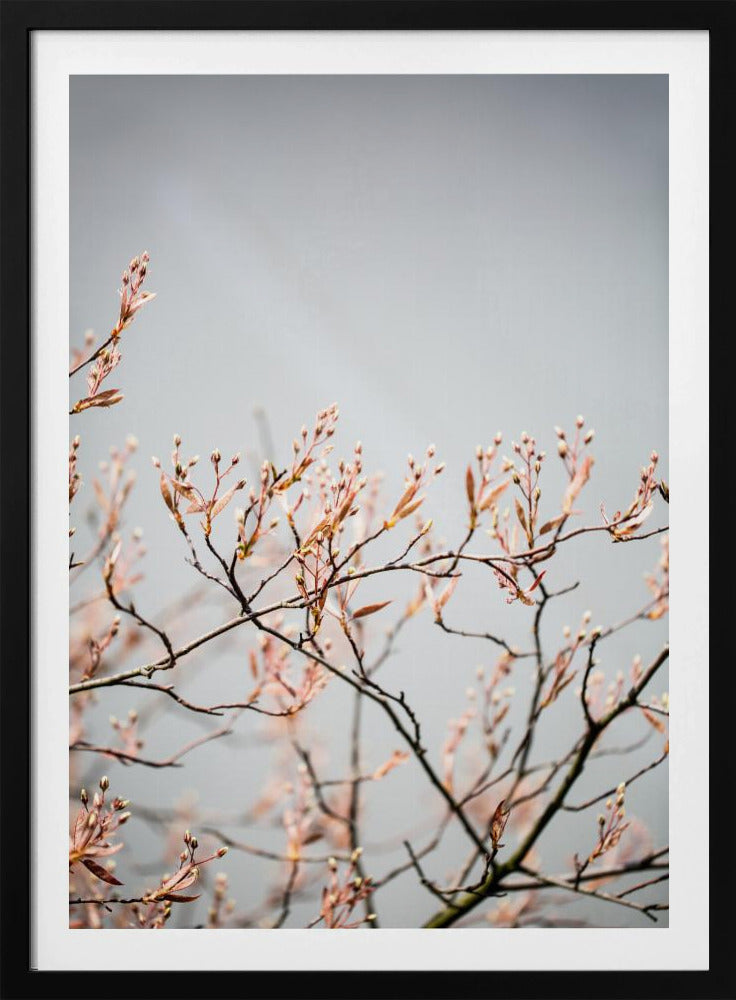 Unknown 11 | Poster
