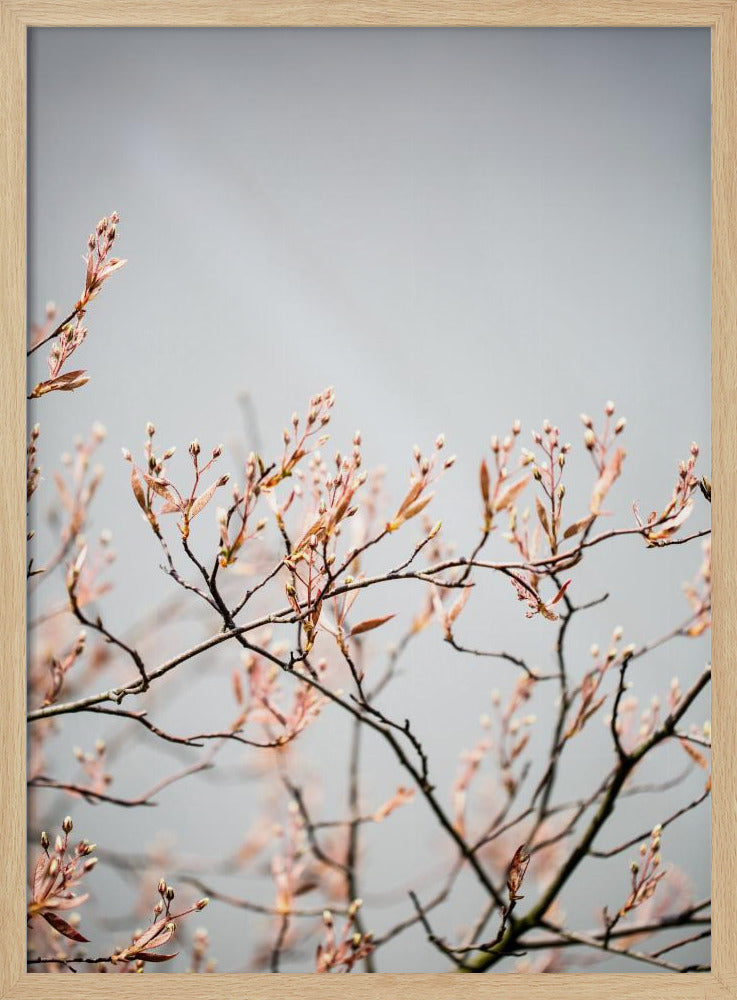 Unknown 11 | Poster