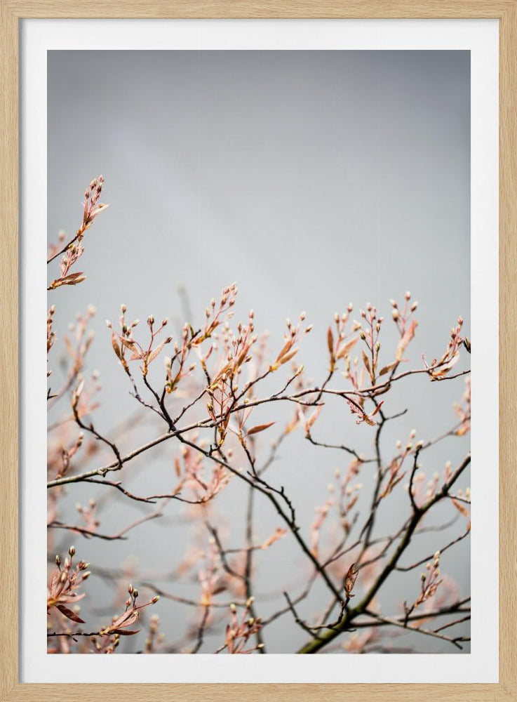 Unknown 11 | Poster