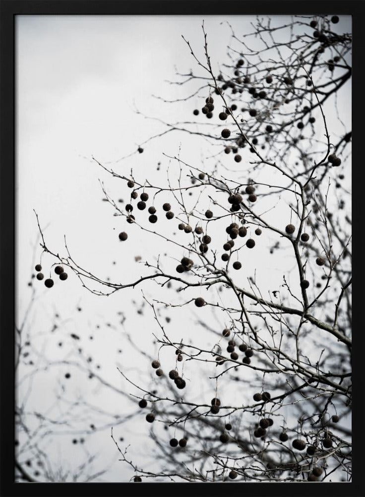 Wintersilhouetten 6 | Poster