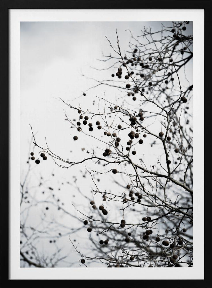 Wintersilhouetten 6 | Poster