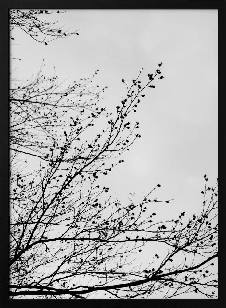 Wintersilhouetten 7 | Poster