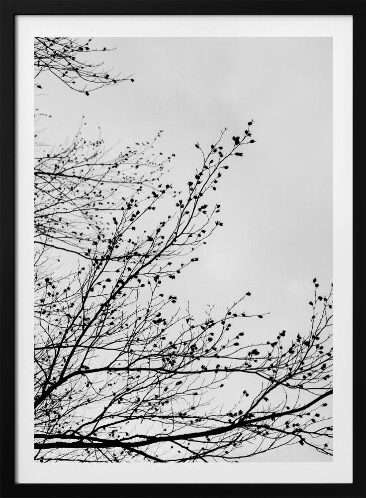 Wintersilhouetten 7 | Poster