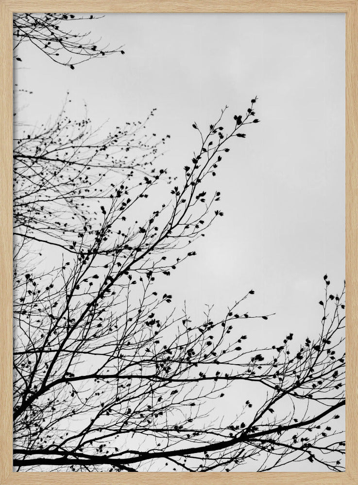 Wintersilhouetten 7 | Poster