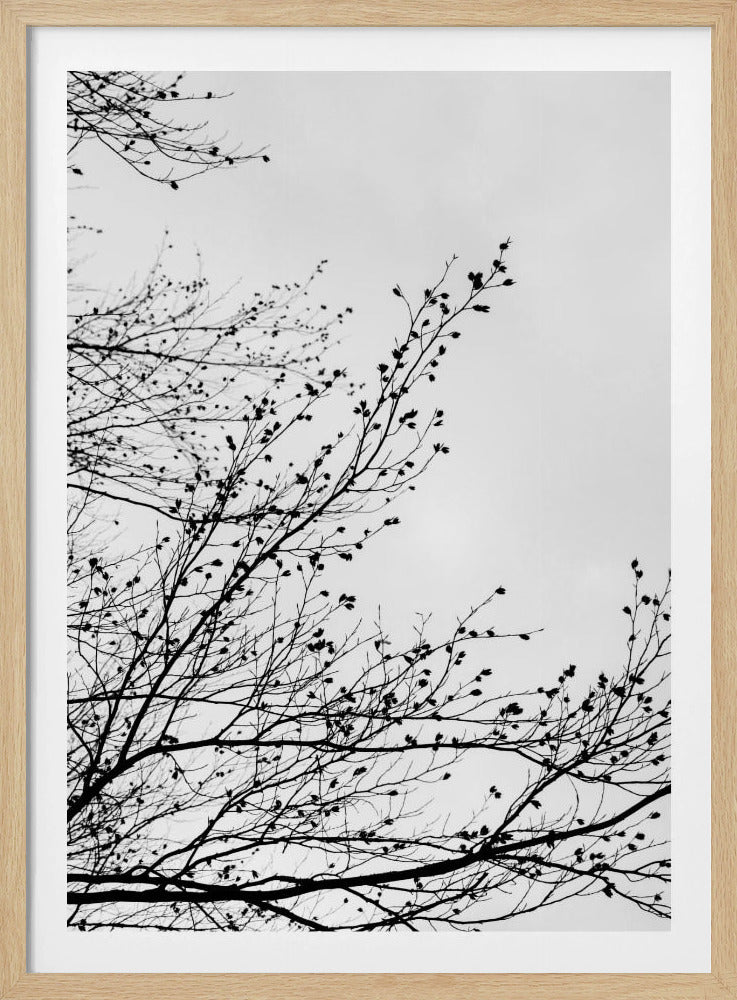 Wintersilhouetten 7 | Poster