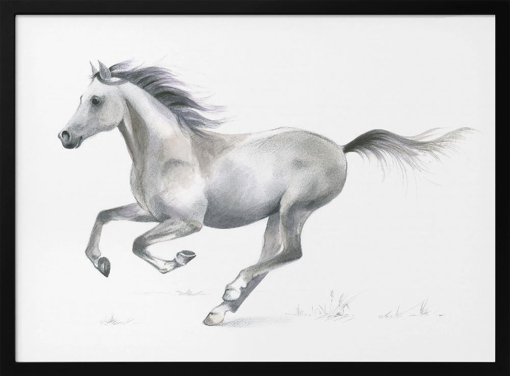 Dynamic Grace of A Galloping Horse | Poster
