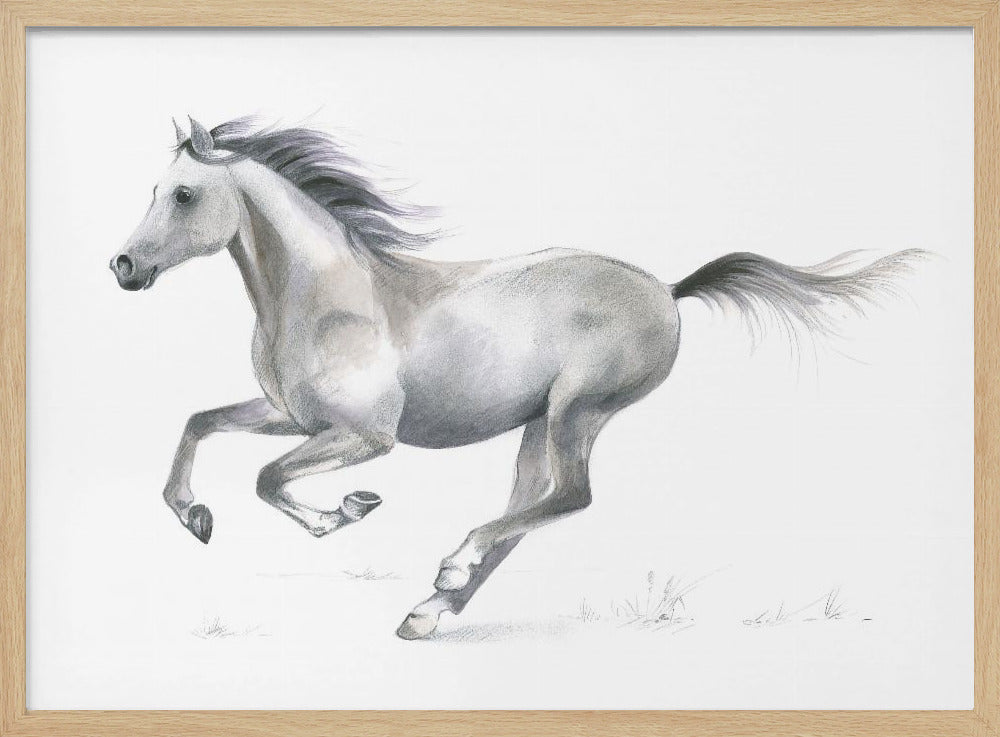 Dynamic Grace of A Galloping Horse | Poster