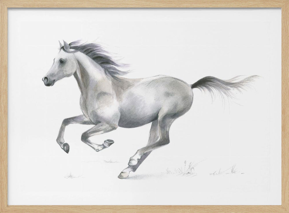 Dynamic Grace of A Galloping Horse | Poster