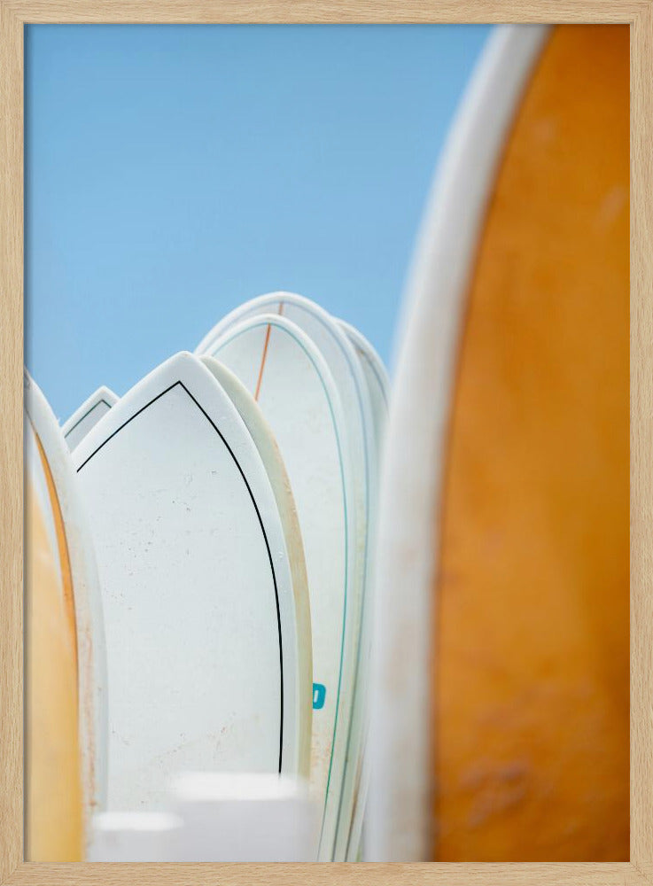 Surf Vibes | Poster
