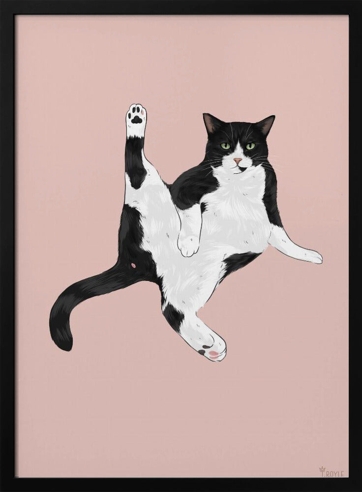 Katze in einer lustigen Pose | Poster