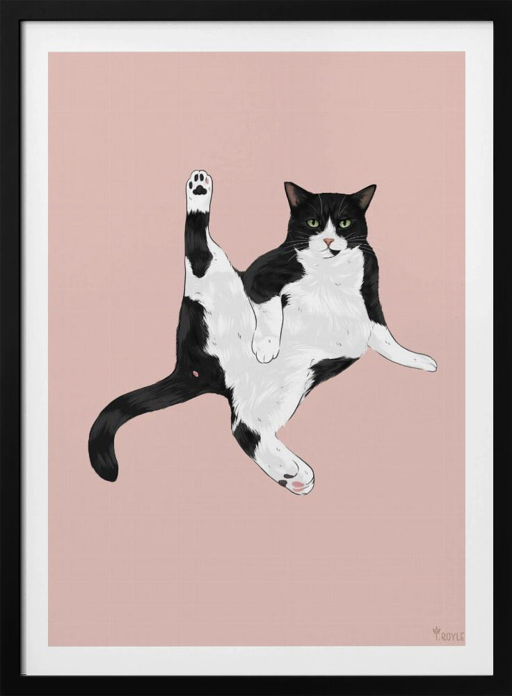 Katze in einer lustigen Pose | Poster