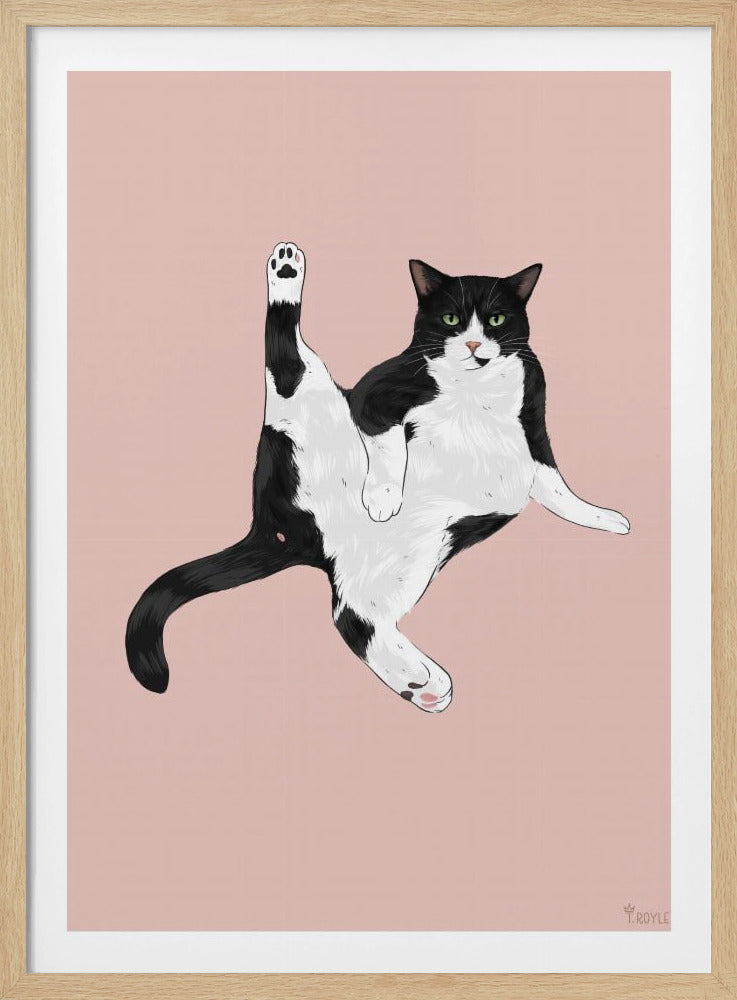 Katze in einer lustigen Pose | Poster