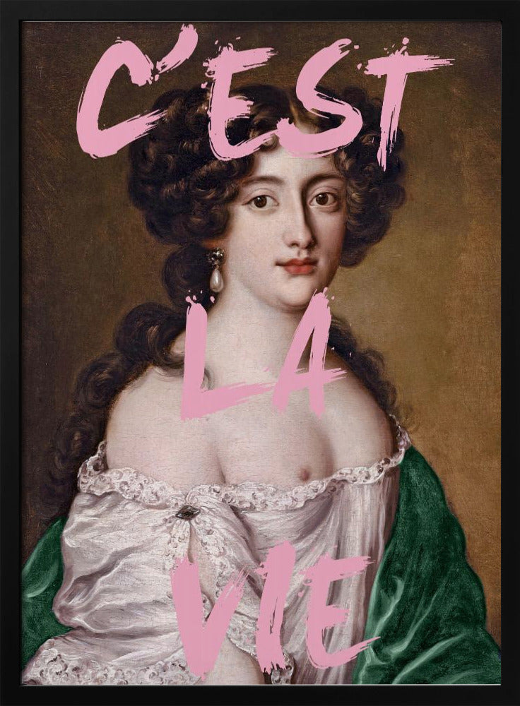 Cestlavie3 Verhältnis 2x3 | Poster