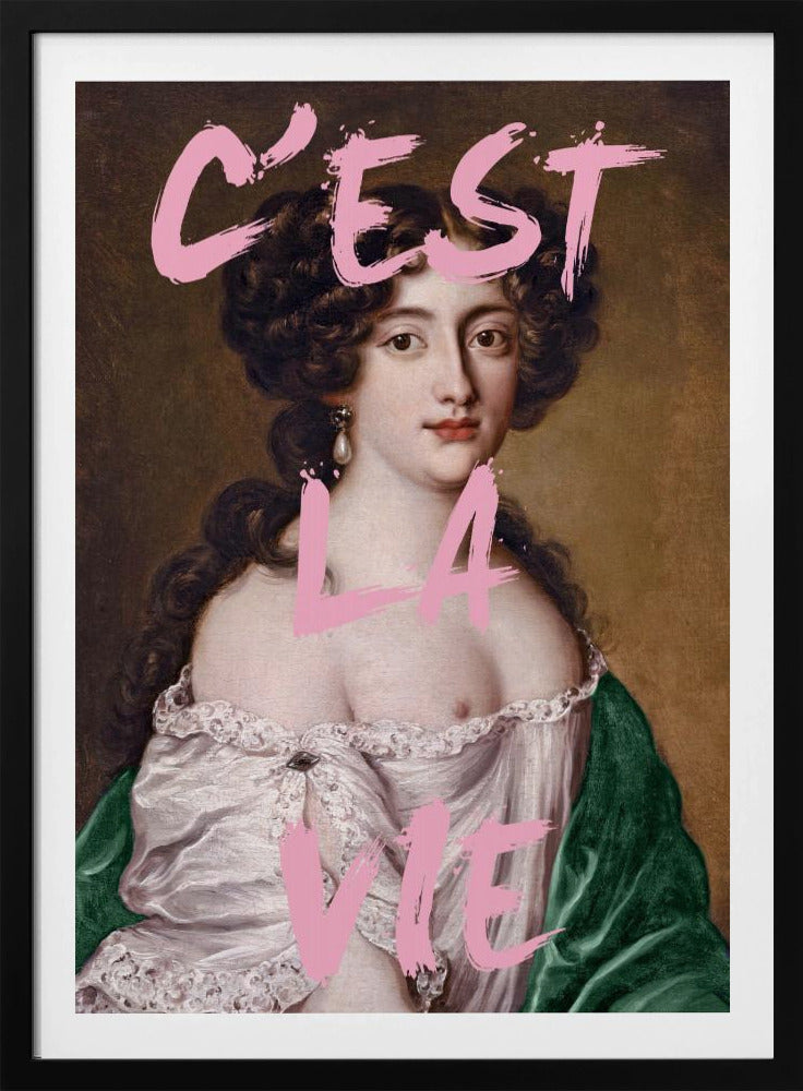 Cestlavie3 Verhältnis 2x3 | Poster
