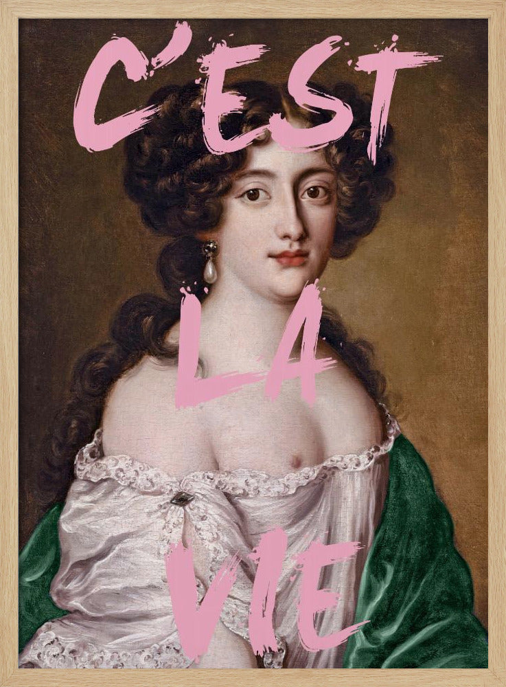 Cestlavie3 Verhältnis 2x3 | Poster