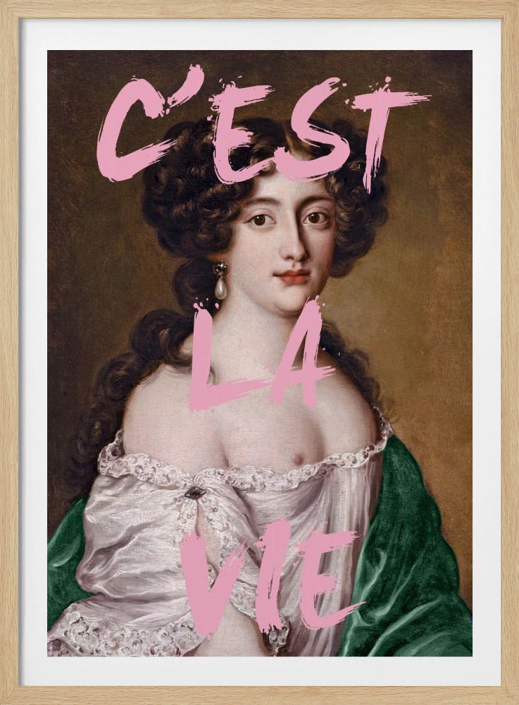Cestlavie3 Verhältnis 2x3 | Poster