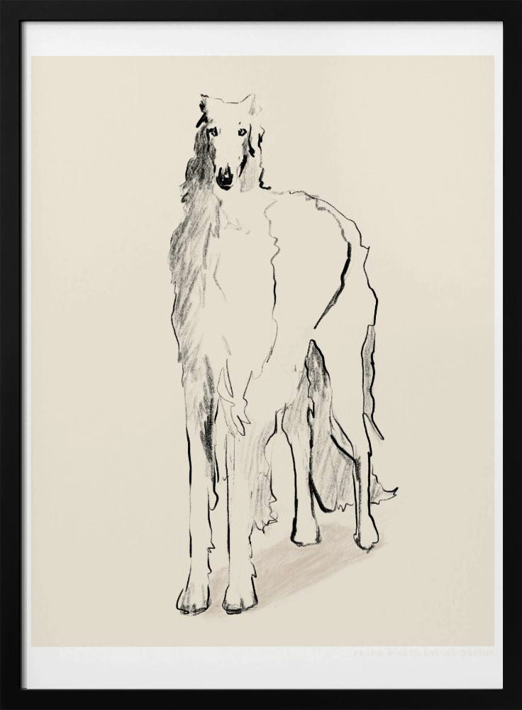 Barsoi Russischer Wolfshund Pandc | Poster
