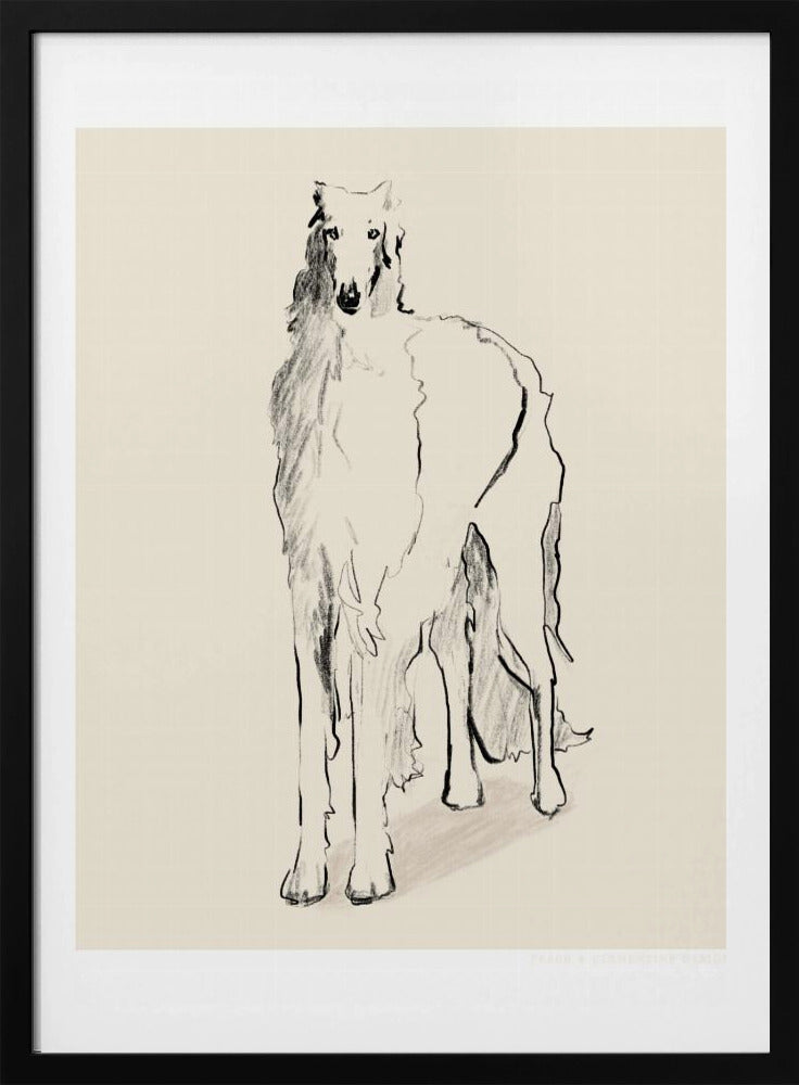 Barsoi Russischer Wolfshund Pandc | Poster