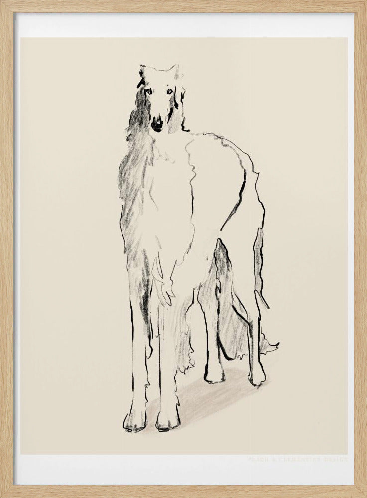 Barsoi Russischer Wolfshund Pandc | Poster