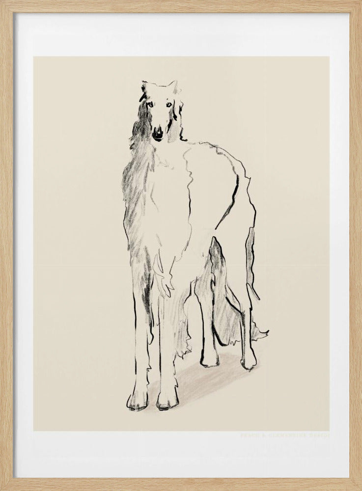 Barsoi Russischer Wolfshund Pandc | Poster