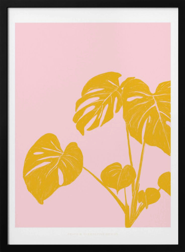 Pandc Zimmerpflanze Kopie | Poster