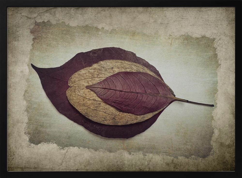 Die Geschichte der Natur | Poster