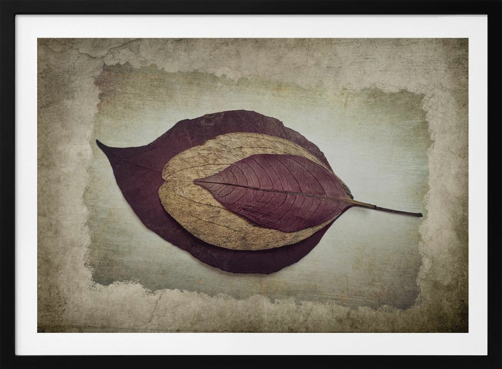 Die Geschichte der Natur | Poster
