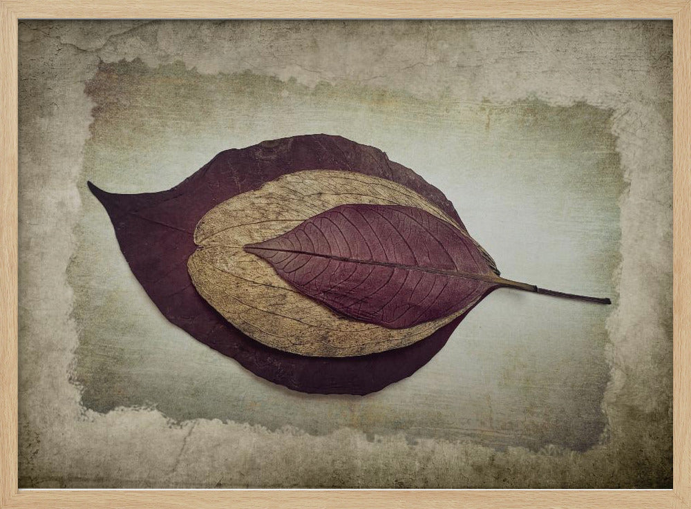 Die Geschichte der Natur | Poster