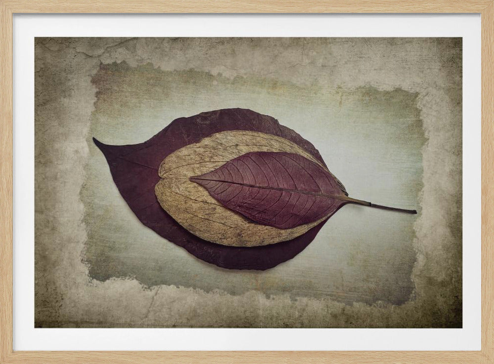 Die Geschichte der Natur | Poster
