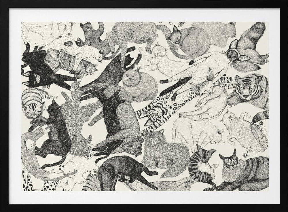 Cats | Poster